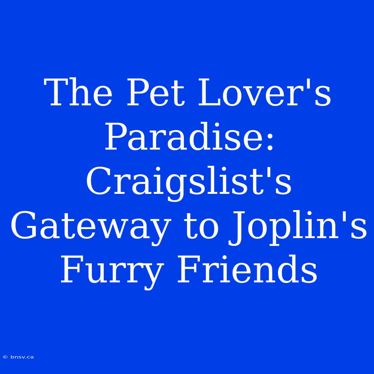 The Pet Lover's Paradise: Craigslist's Gateway To Joplin's Furry Friends