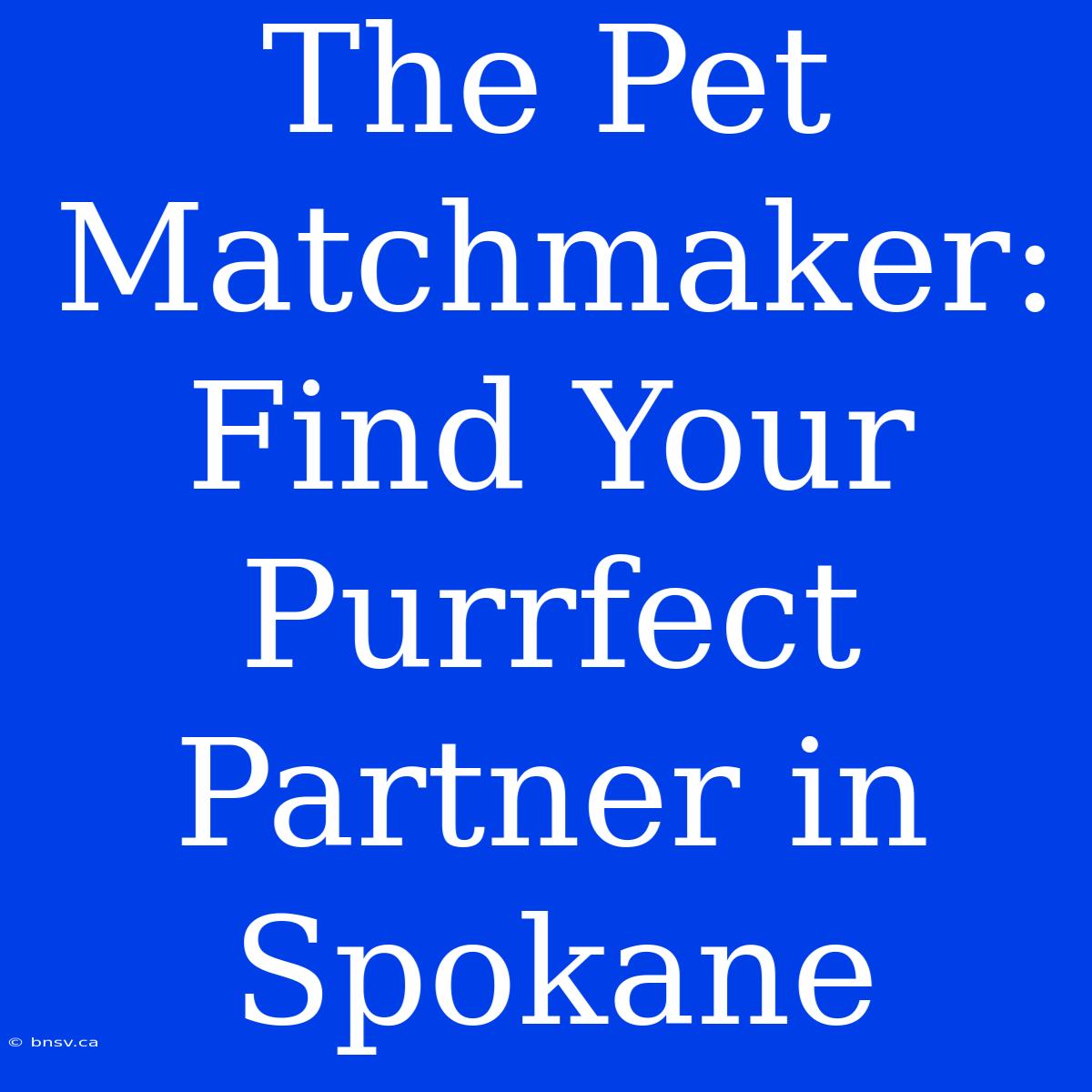 The Pet Matchmaker: Find Your Purrfect Partner In Spokane