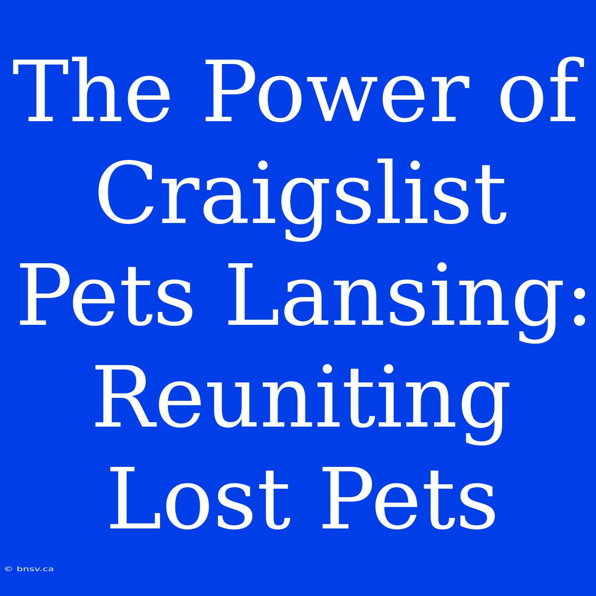 The Power Of Craigslist Pets Lansing: Reuniting Lost Pets