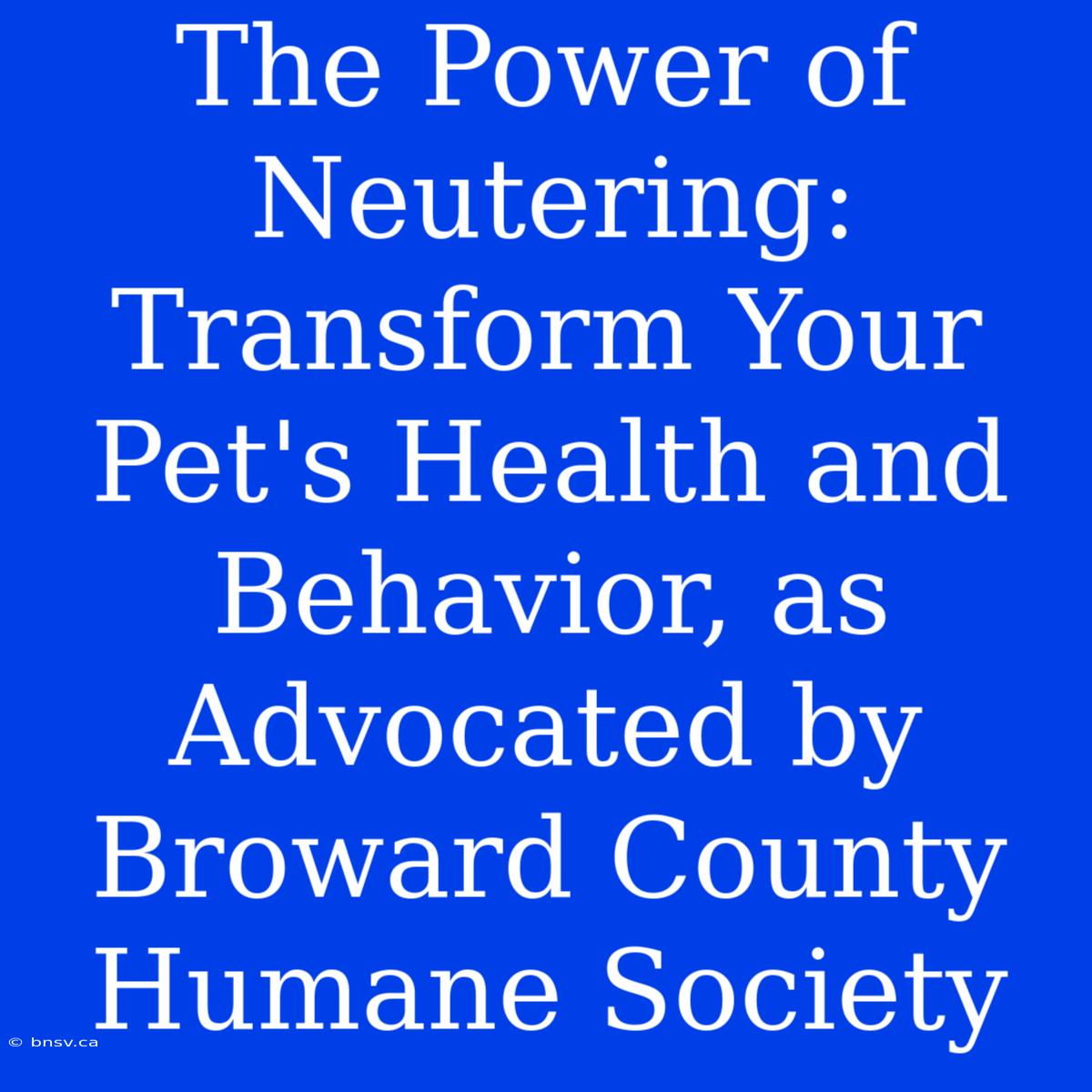 The Power Of Neutering: Transform Your Pet's Health And Behavior, As Advocated By Broward County Humane Society