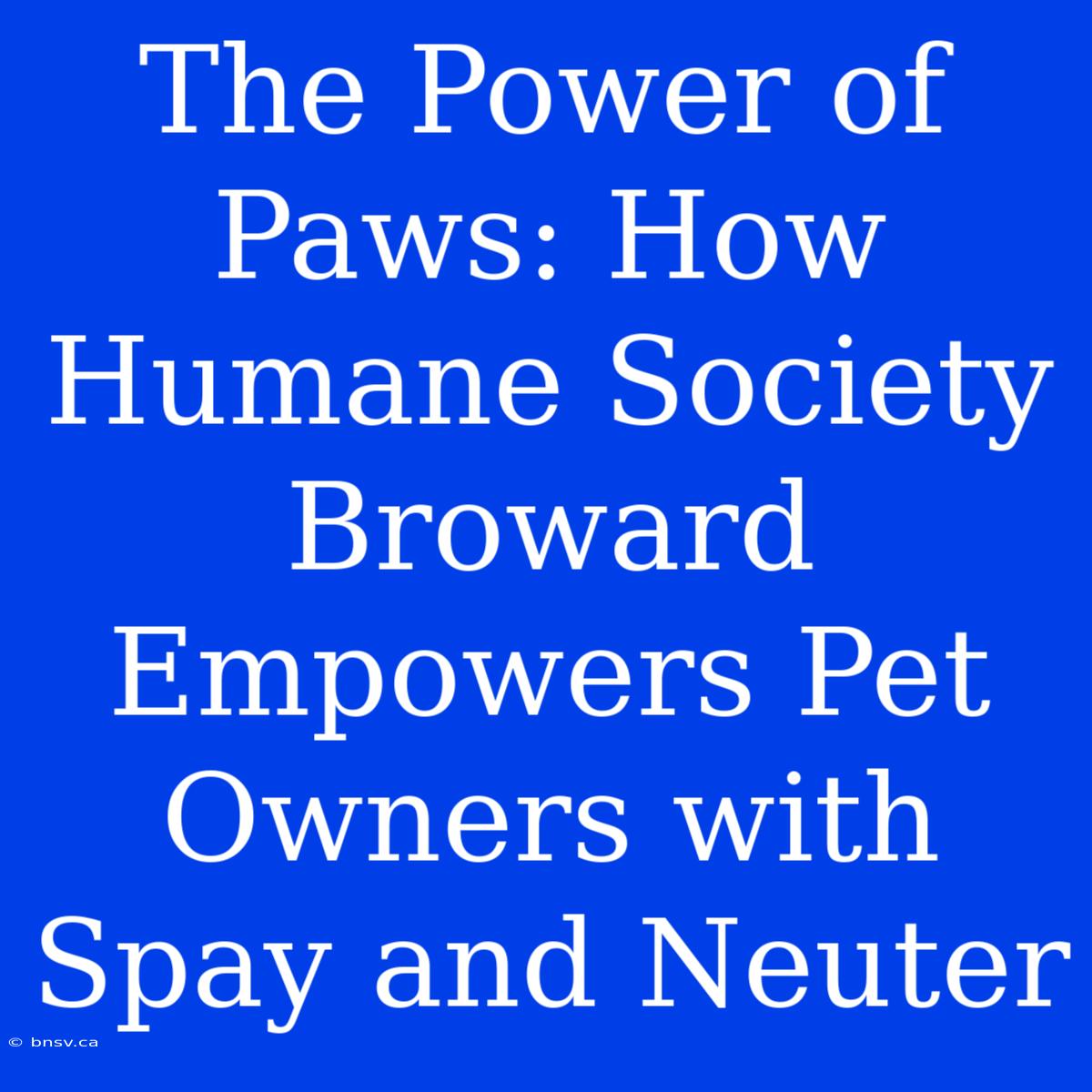 The Power Of Paws: How Humane Society Broward Empowers Pet Owners With Spay And Neuter