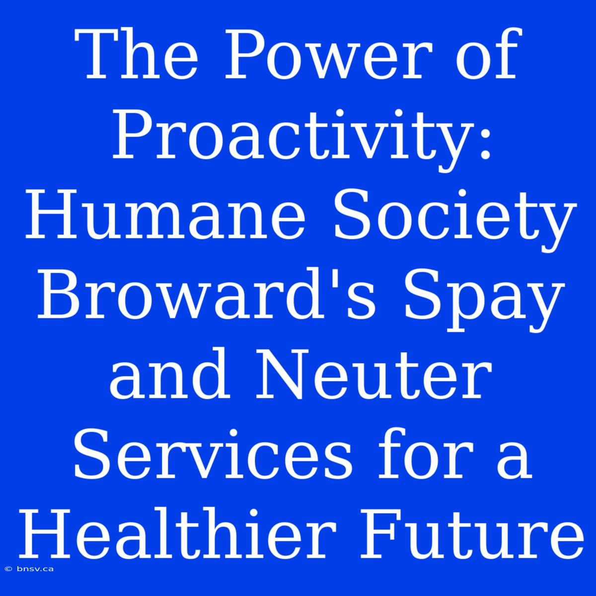 The Power Of Proactivity: Humane Society Broward's Spay And Neuter Services For A Healthier Future