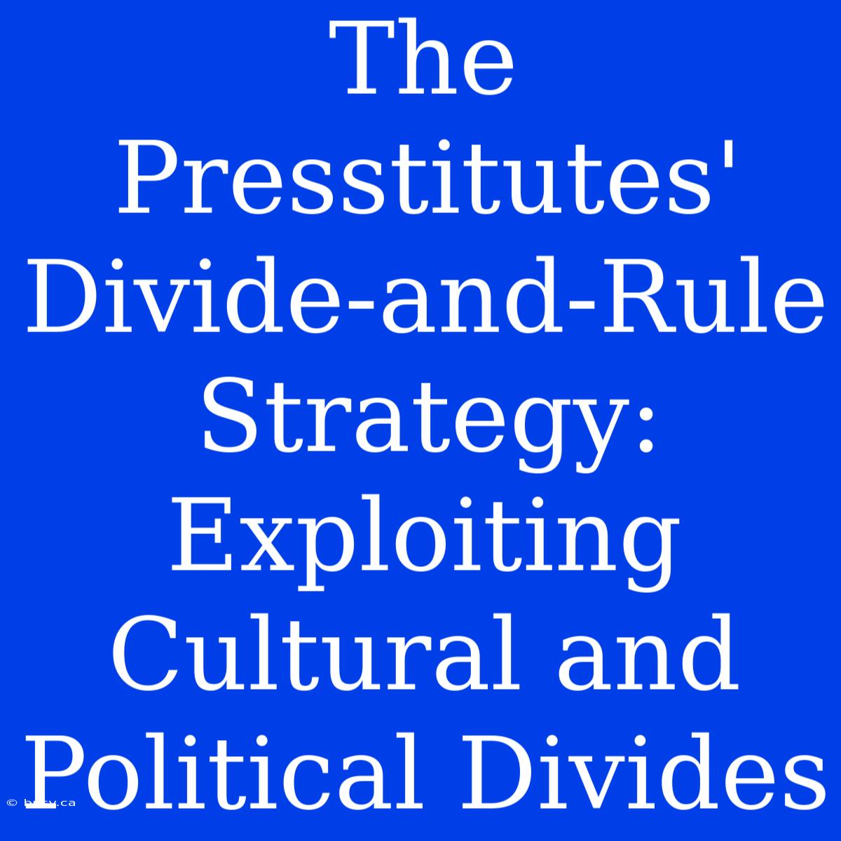 The Presstitutes' Divide-and-Rule Strategy: Exploiting Cultural And Political Divides