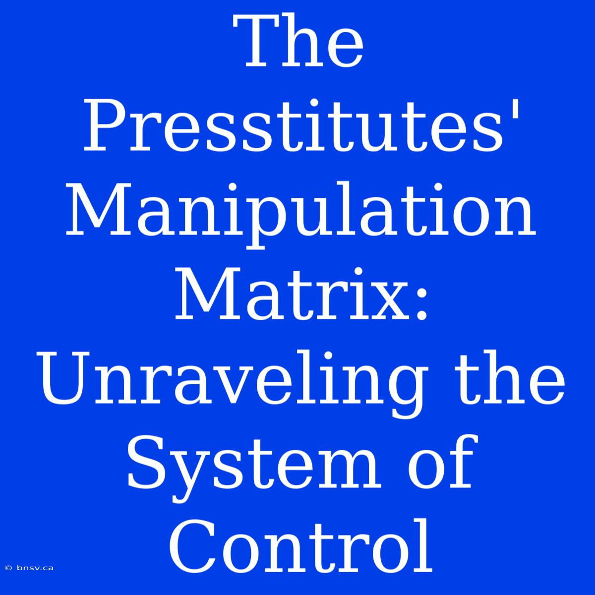 The Presstitutes' Manipulation Matrix: Unraveling The System Of Control