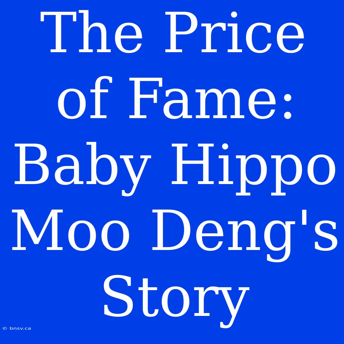 The Price Of Fame:  Baby Hippo Moo Deng's Story