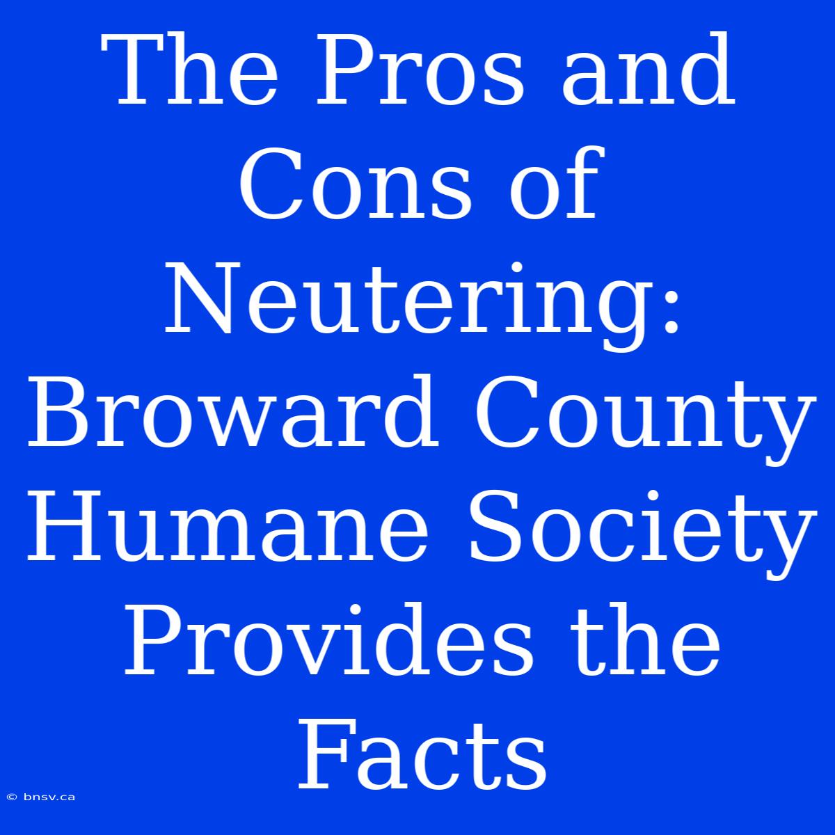 The Pros And Cons Of Neutering: Broward County Humane Society Provides The Facts