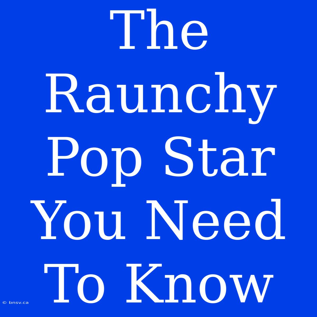 The Raunchy Pop Star You Need To Know