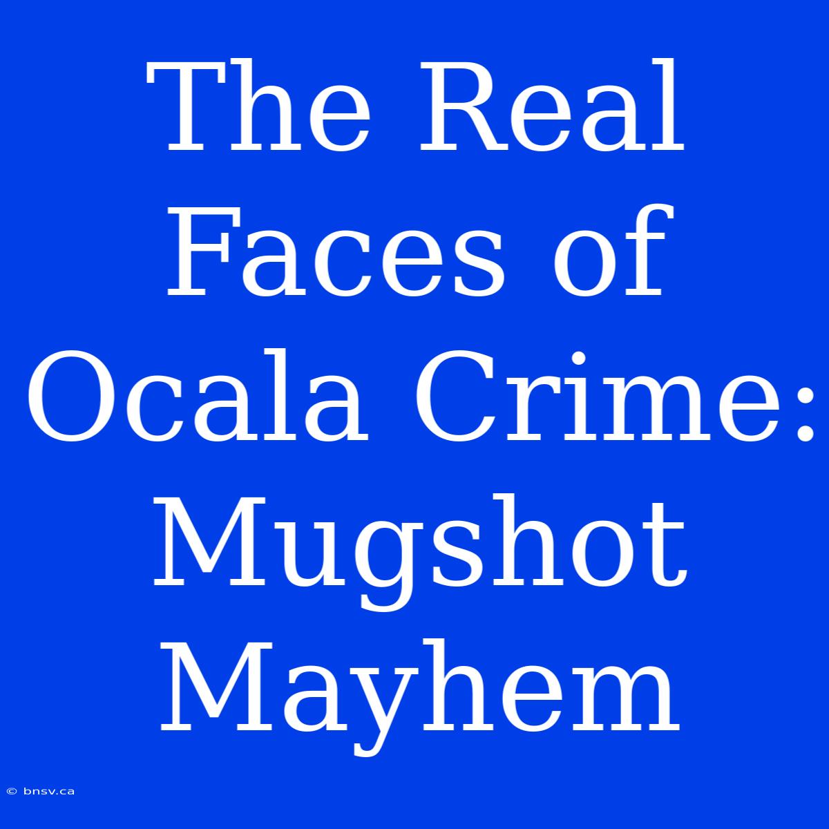 The Real Faces Of Ocala Crime: Mugshot Mayhem