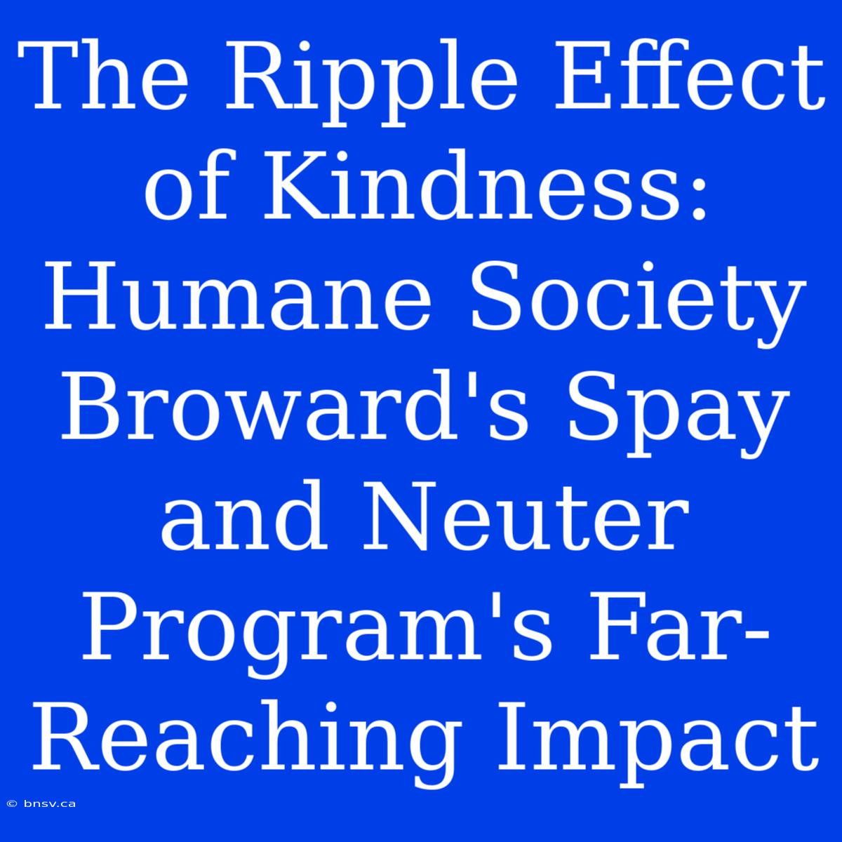 The Ripple Effect Of Kindness: Humane Society Broward's Spay And Neuter Program's Far-Reaching Impact