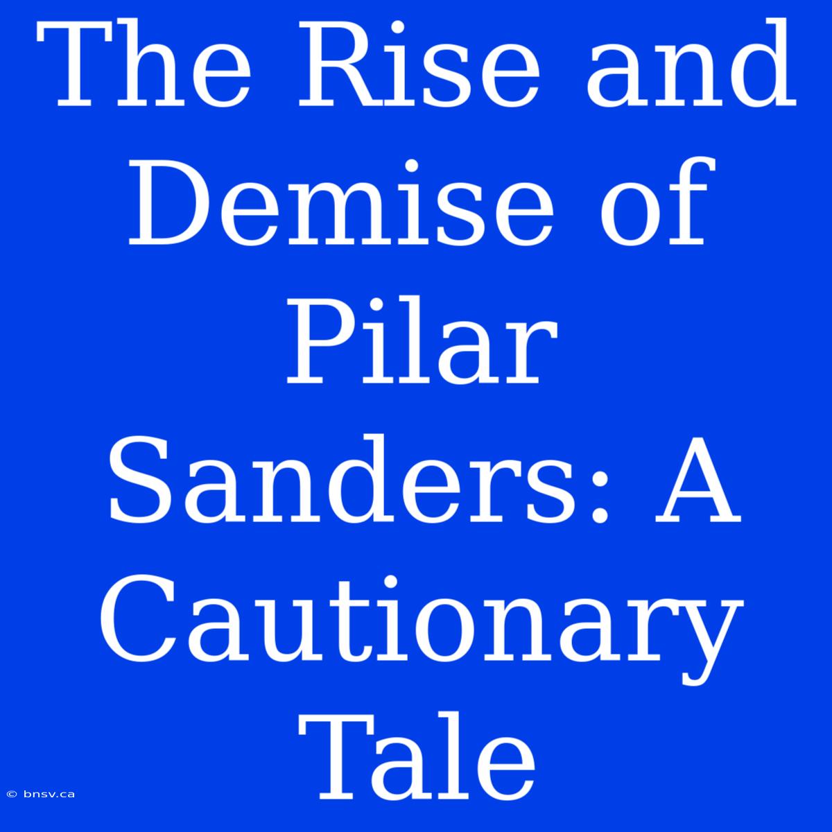 The Rise And Demise Of Pilar Sanders: A Cautionary Tale