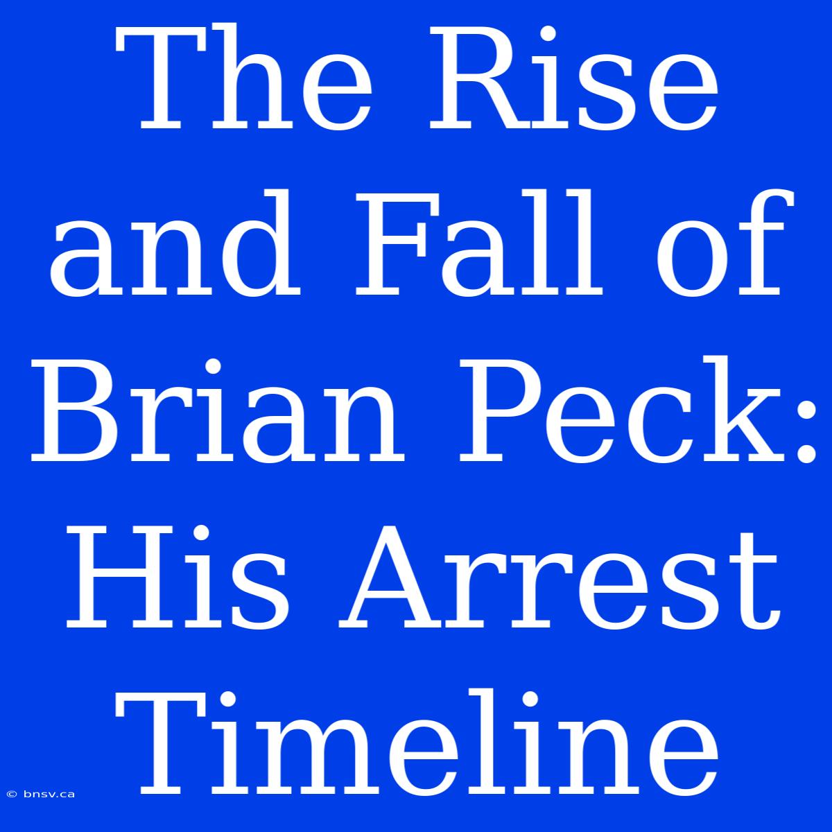 The Rise And Fall Of Brian Peck: His Arrest Timeline