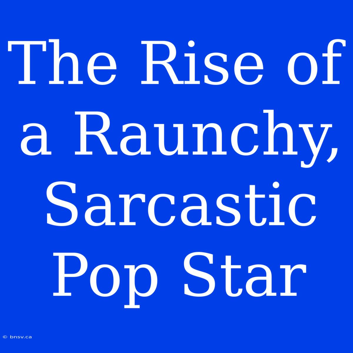 The Rise Of A Raunchy, Sarcastic Pop Star