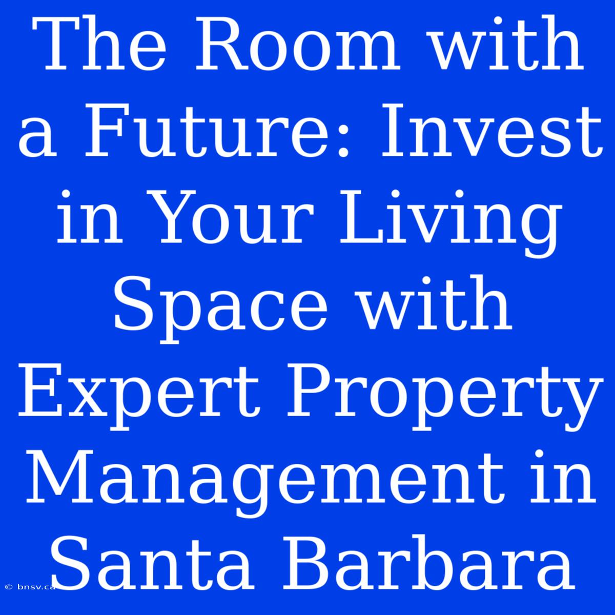 The Room With A Future: Invest In Your Living Space With Expert Property Management In Santa Barbara