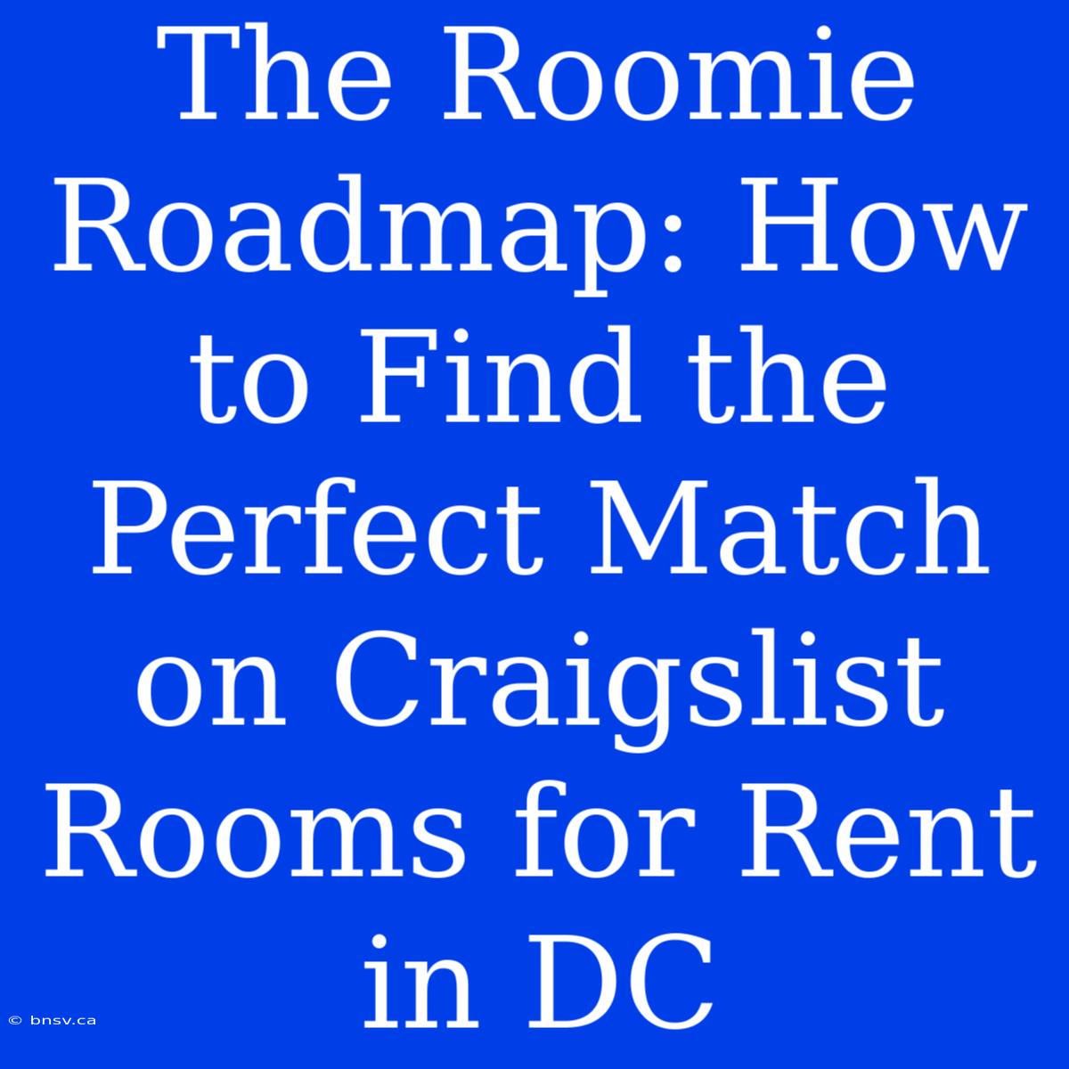 The Roomie Roadmap: How To Find The Perfect Match On Craigslist Rooms For Rent In DC