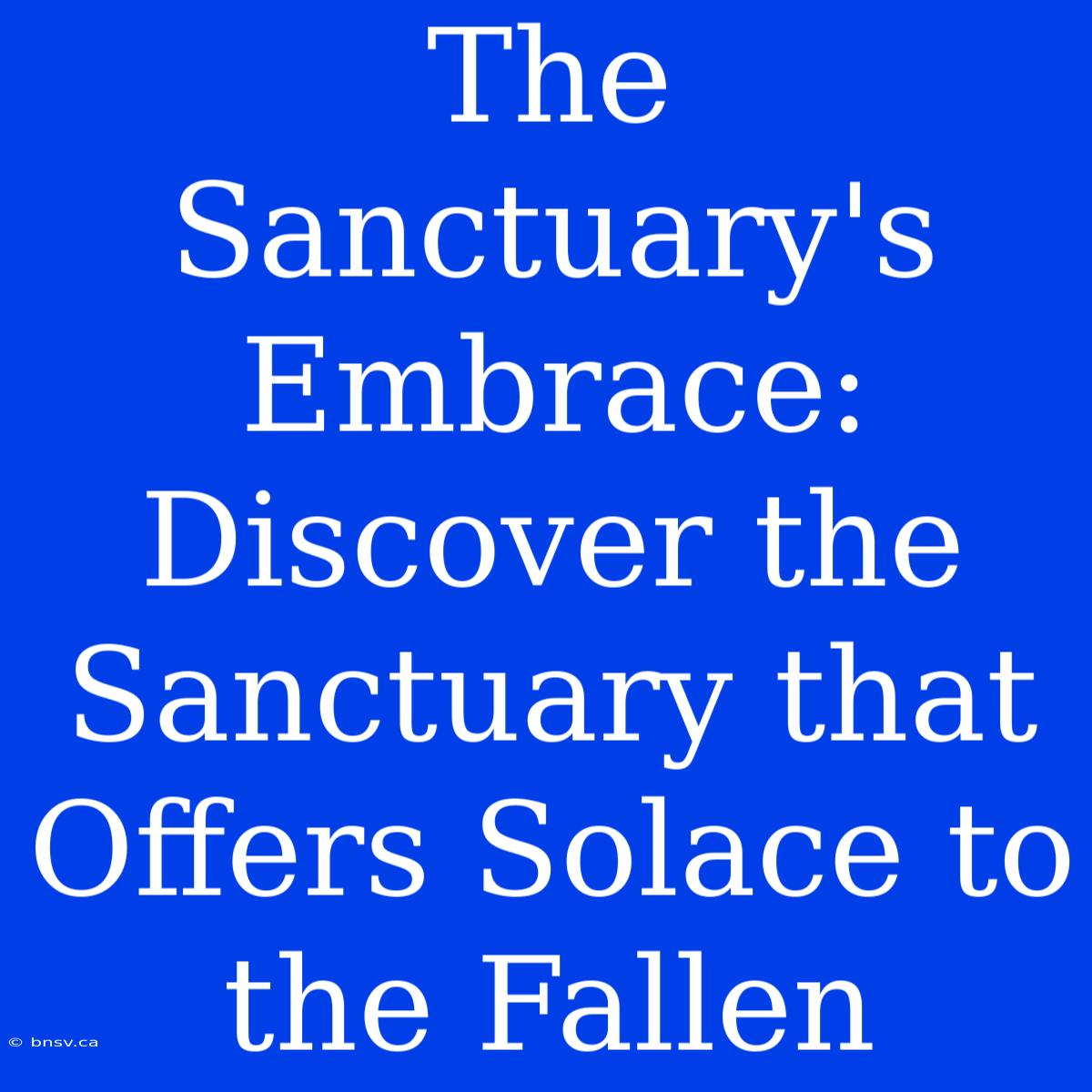 The Sanctuary's Embrace: Discover The Sanctuary That Offers Solace To The Fallen