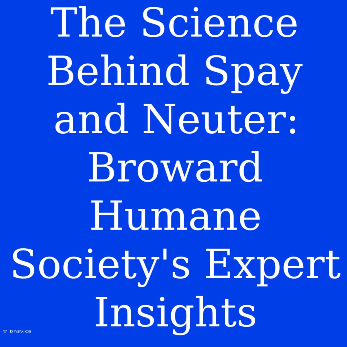 The Science Behind Spay And Neuter: Broward Humane Society's Expert Insights