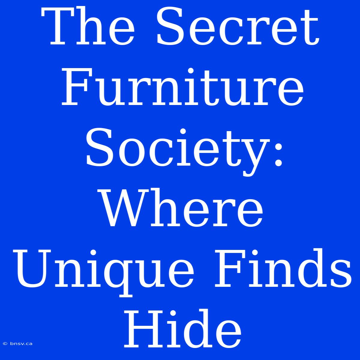 The Secret Furniture Society: Where Unique Finds Hide