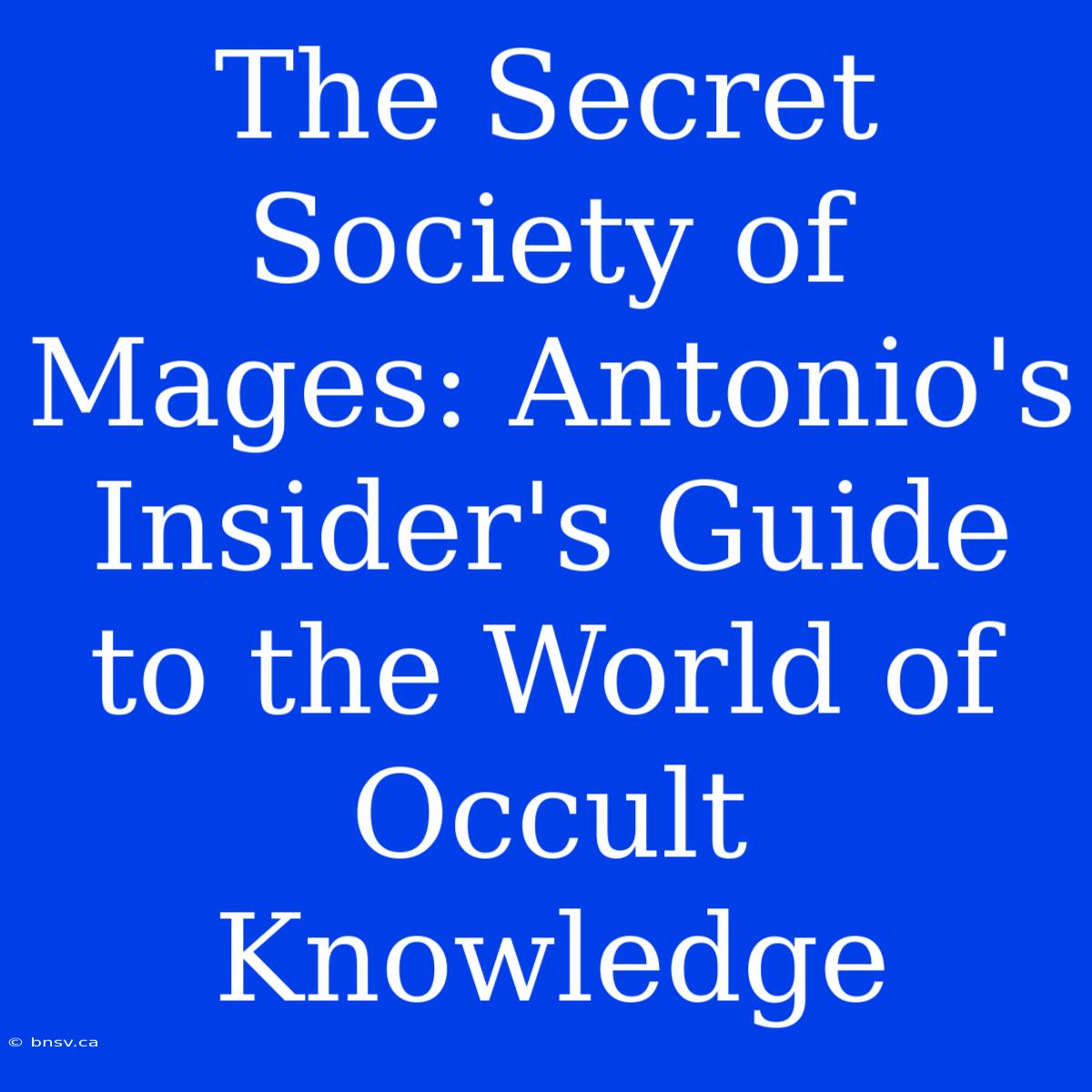 The Secret Society Of Mages: Antonio's Insider's Guide To The World Of Occult Knowledge