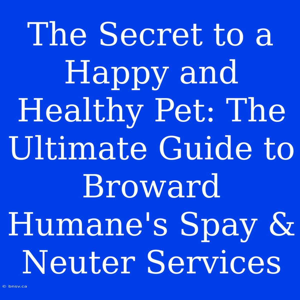 The Secret To A Happy And Healthy Pet: The Ultimate Guide To Broward Humane's Spay & Neuter Services