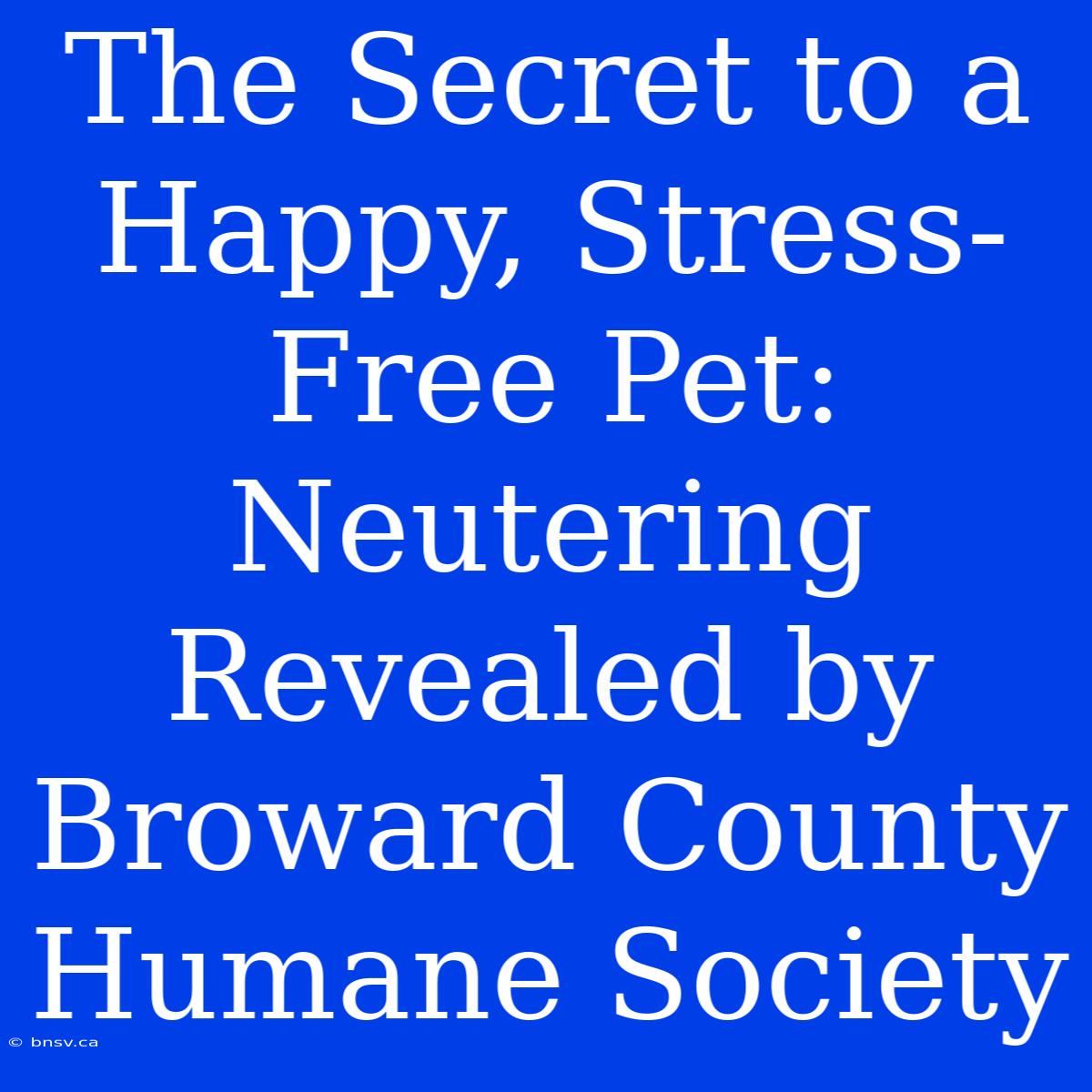 The Secret To A Happy, Stress-Free Pet: Neutering Revealed By Broward County Humane Society