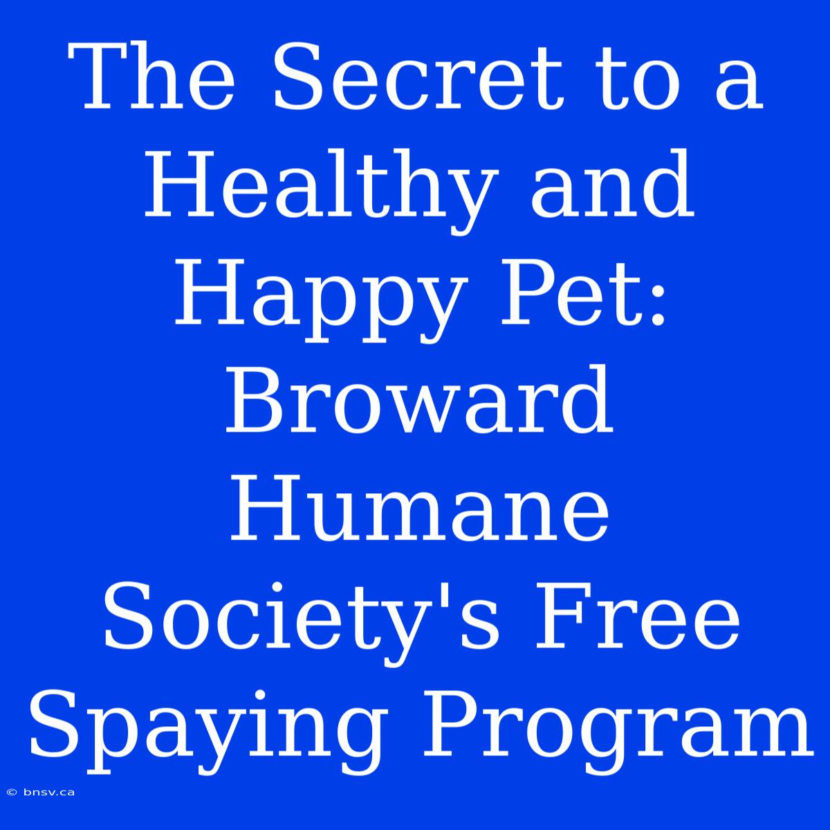 The Secret To A Healthy And Happy Pet: Broward Humane Society's Free Spaying Program