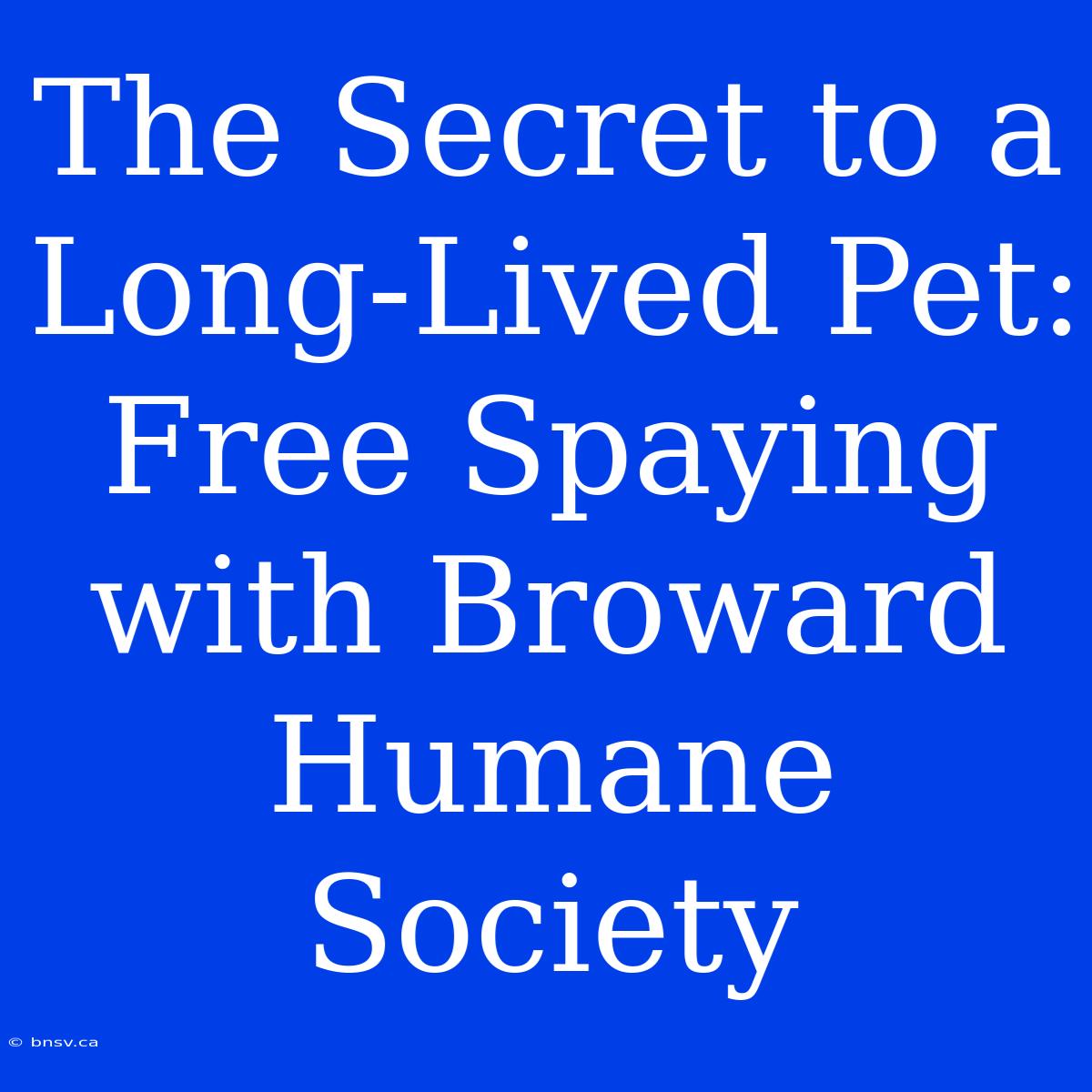 The Secret To A Long-Lived Pet: Free Spaying With Broward Humane Society