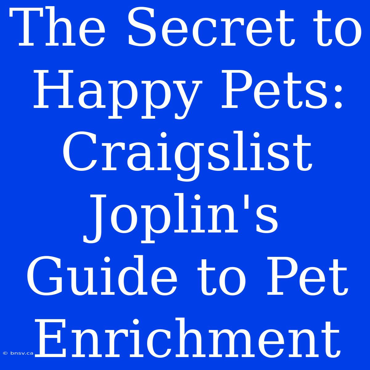 The Secret To Happy Pets: Craigslist Joplin's Guide To Pet Enrichment