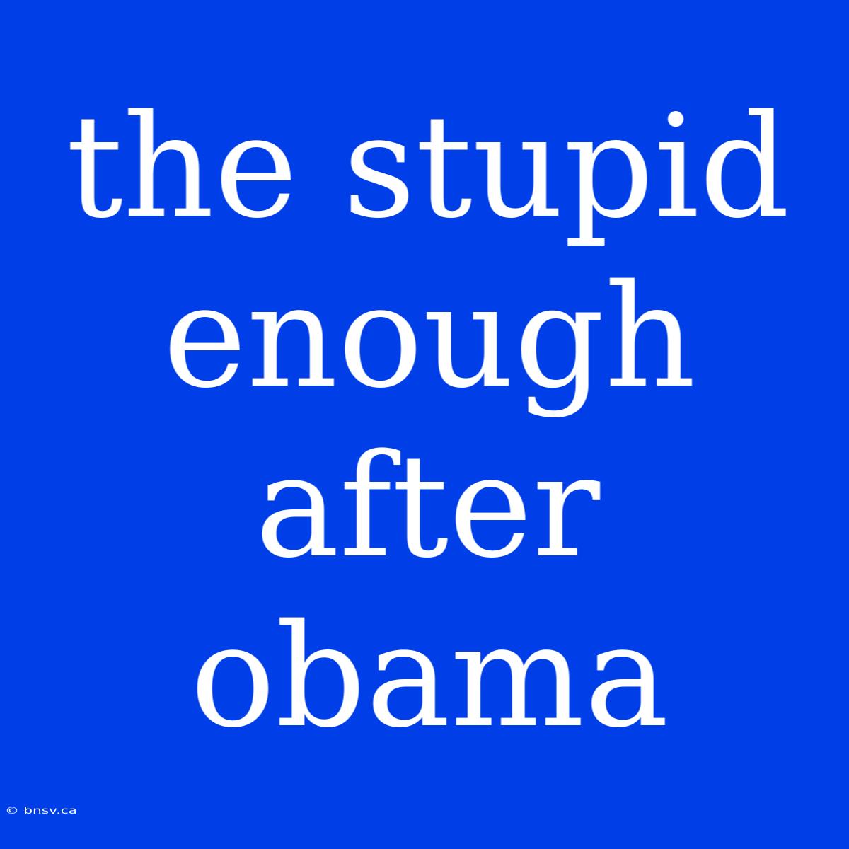 The Stupid Enough After Obama