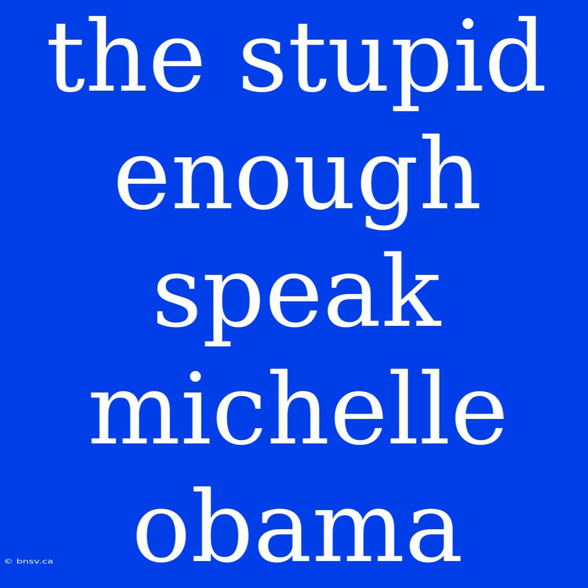 The Stupid Enough Speak Michelle Obama