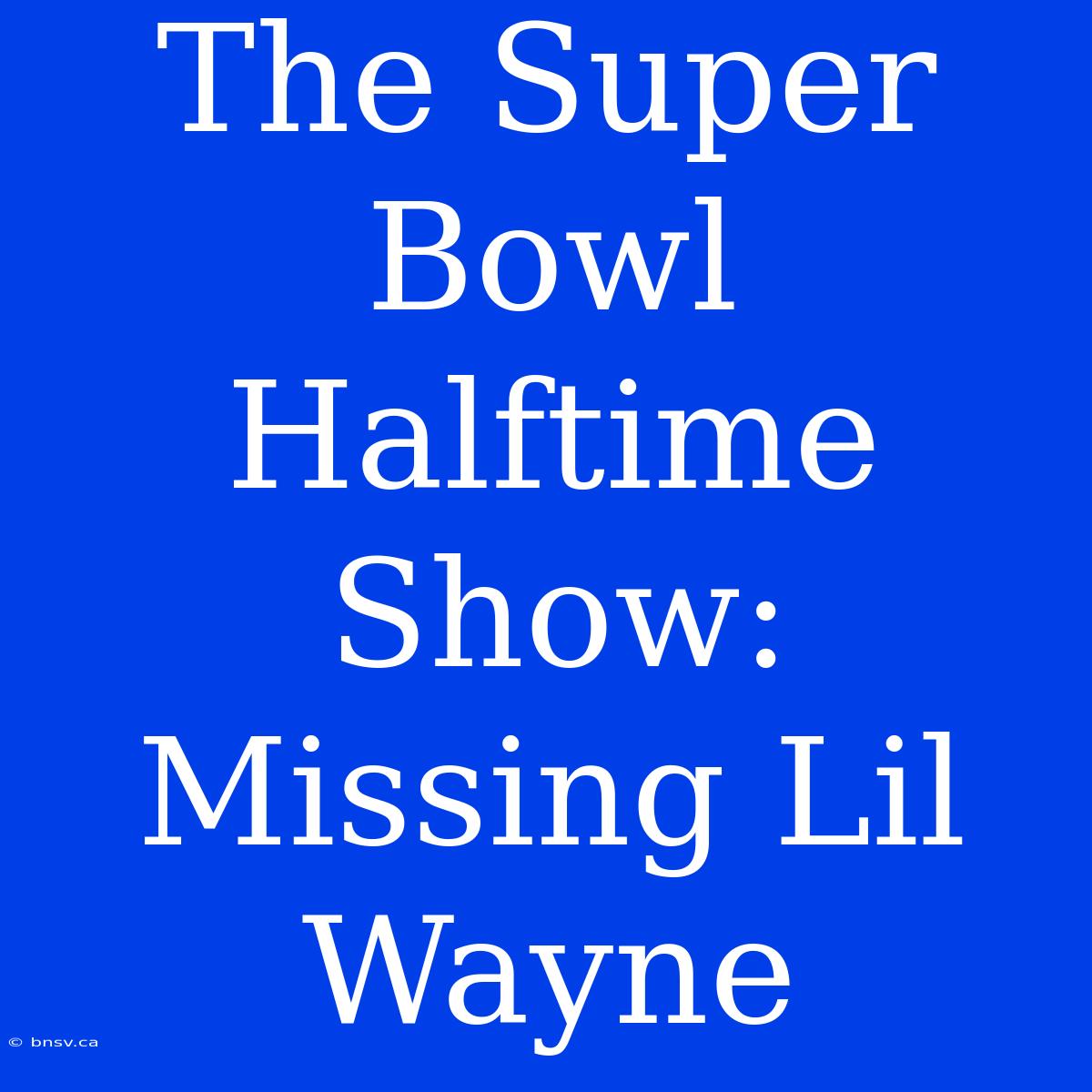 The Super Bowl Halftime Show: Missing Lil Wayne