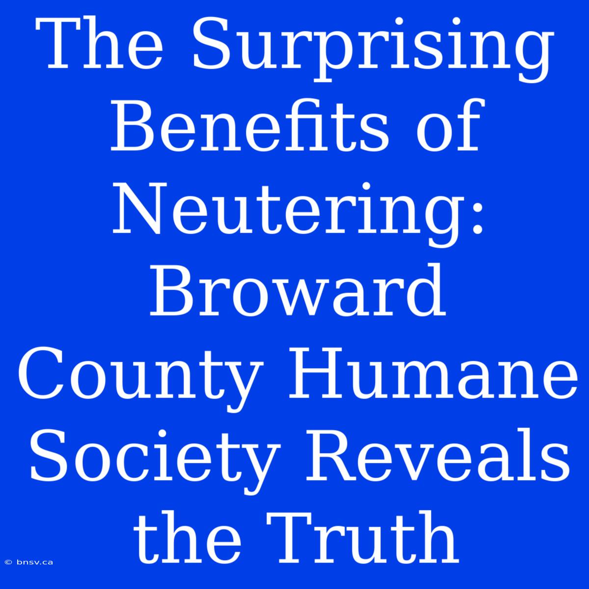 The Surprising Benefits Of Neutering: Broward County Humane Society Reveals The Truth