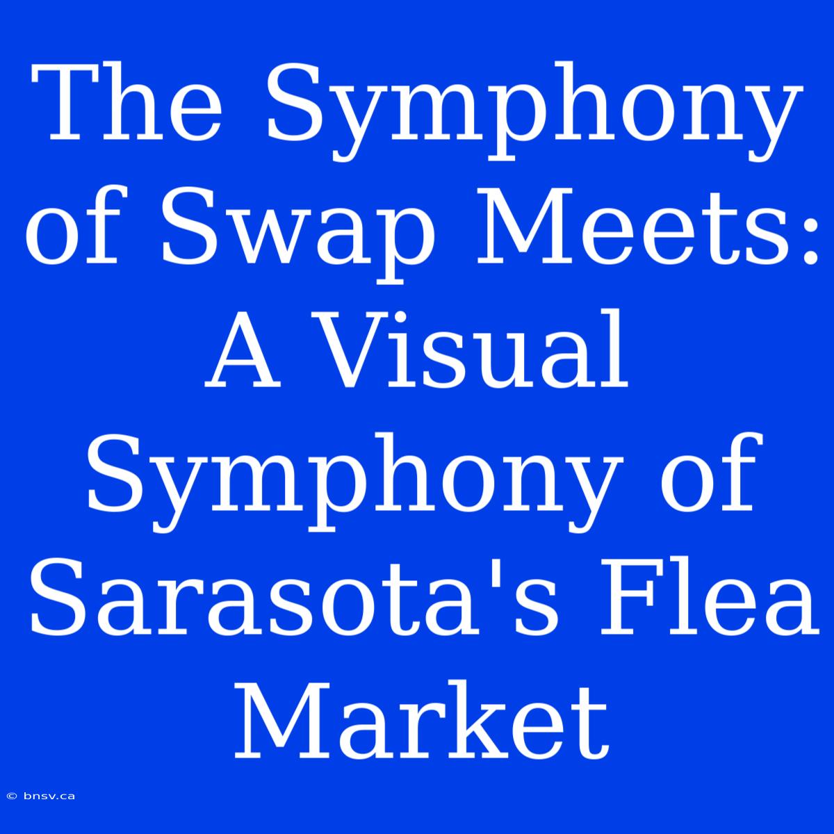 The Symphony Of Swap Meets: A Visual Symphony Of Sarasota's Flea Market