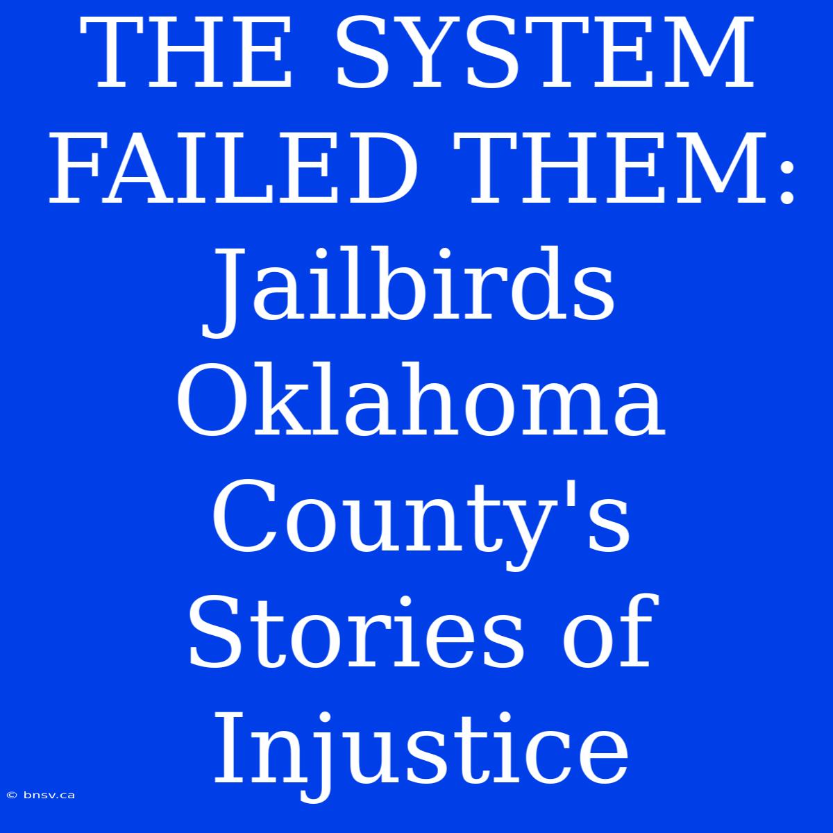 THE SYSTEM FAILED THEM: Jailbirds Oklahoma County's Stories Of Injustice