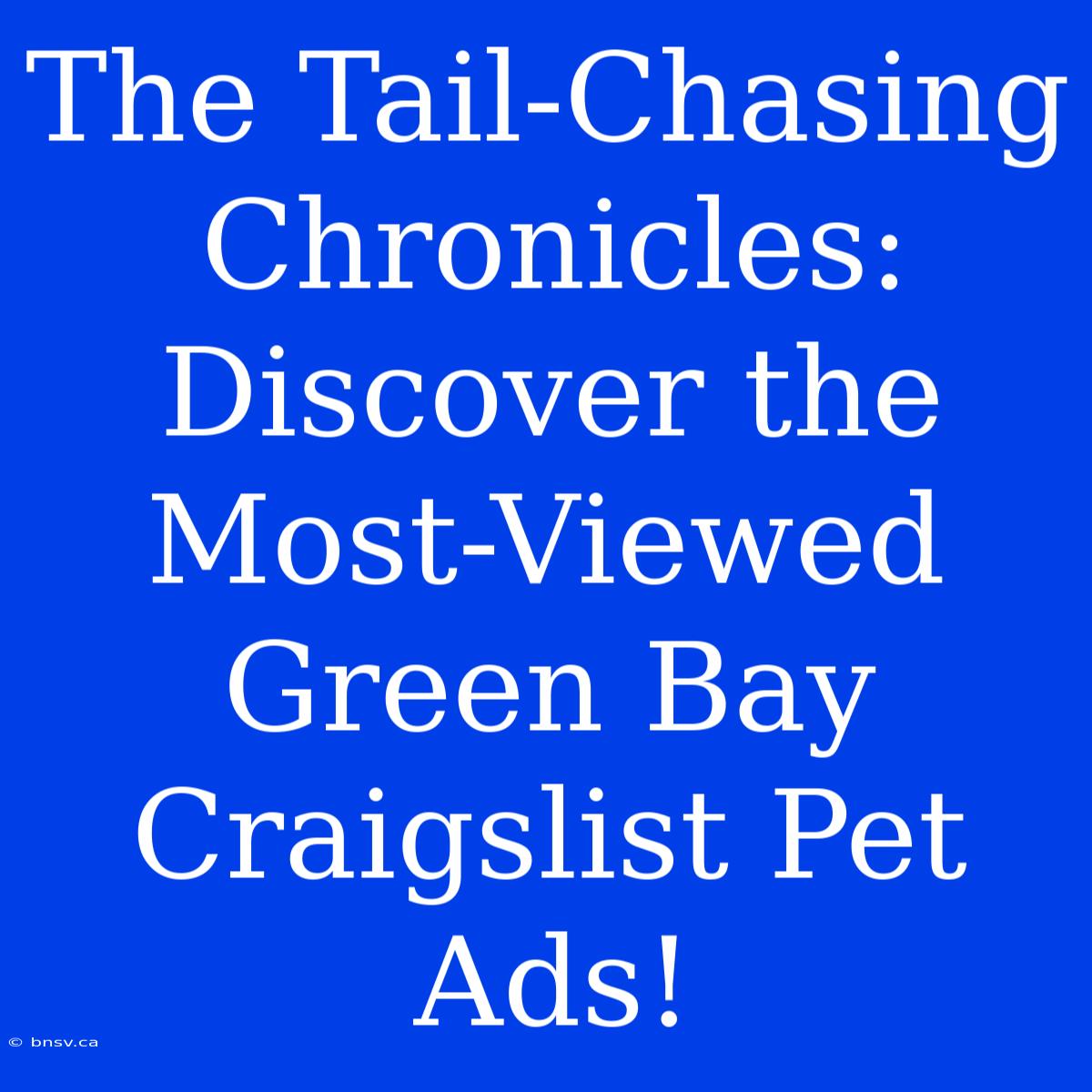 The Tail-Chasing Chronicles: Discover The Most-Viewed Green Bay Craigslist Pet Ads!