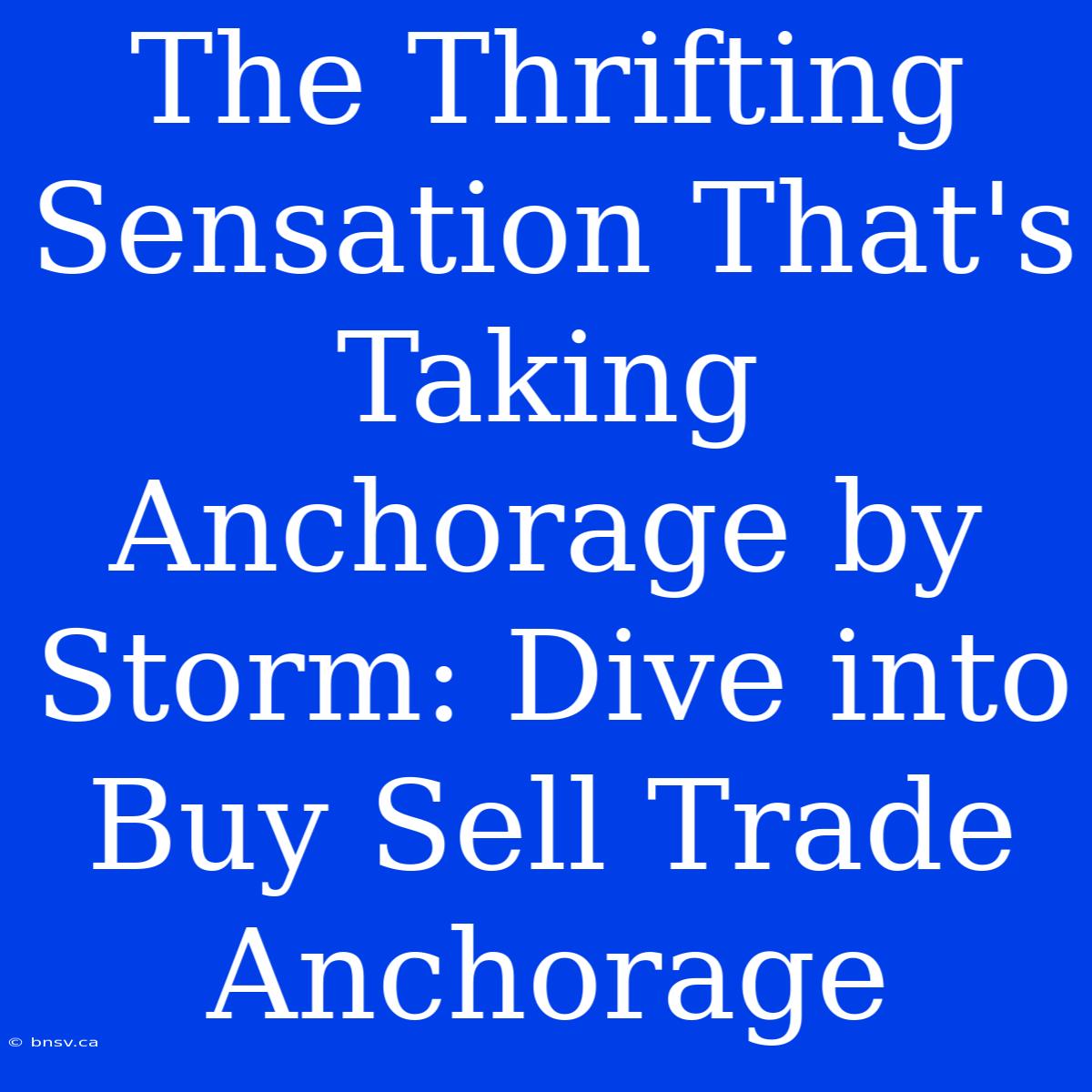 The Thrifting Sensation That's Taking Anchorage By Storm: Dive Into Buy Sell Trade Anchorage