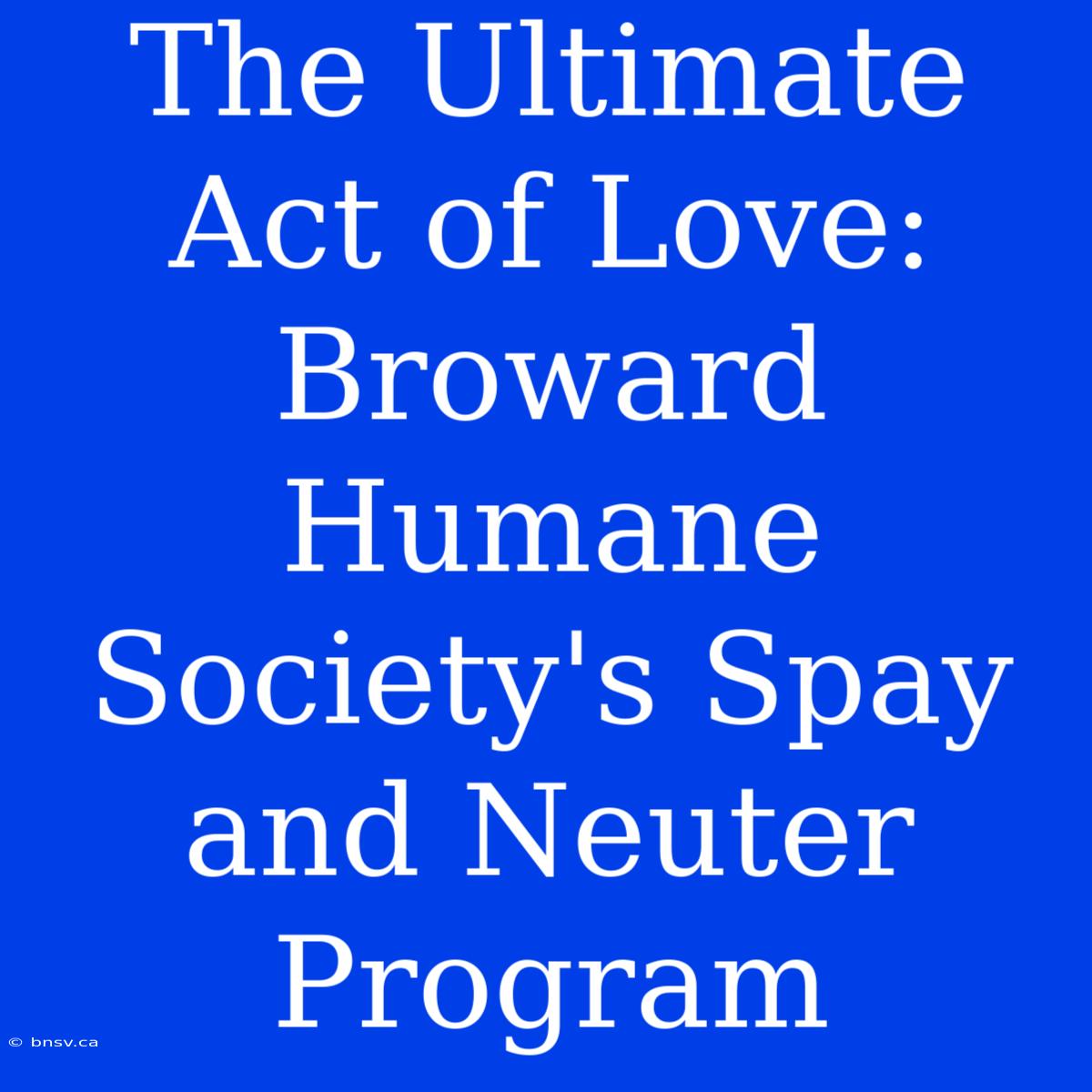 The Ultimate Act Of Love: Broward Humane Society's Spay And Neuter Program