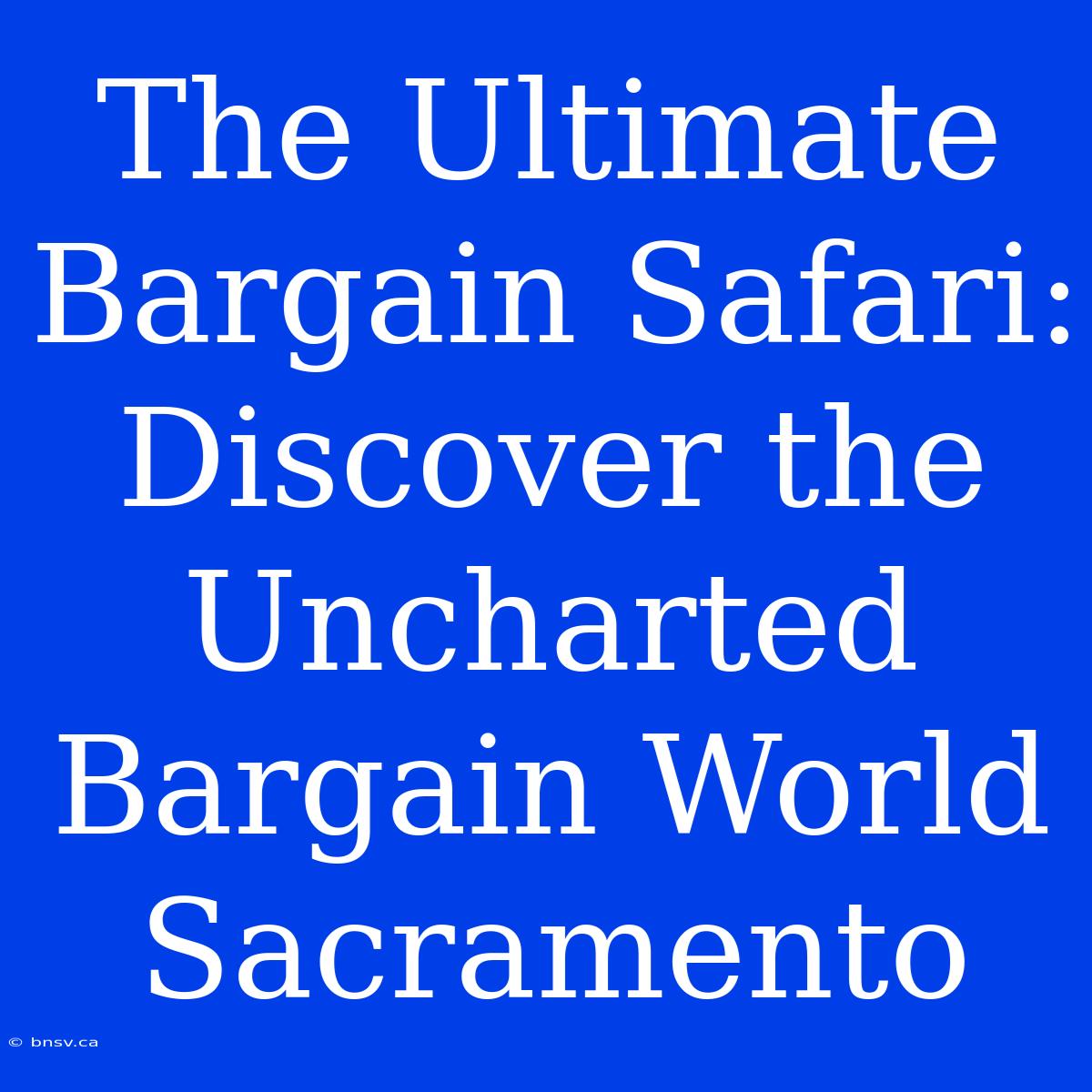 The Ultimate Bargain Safari: Discover The Uncharted Bargain World Sacramento