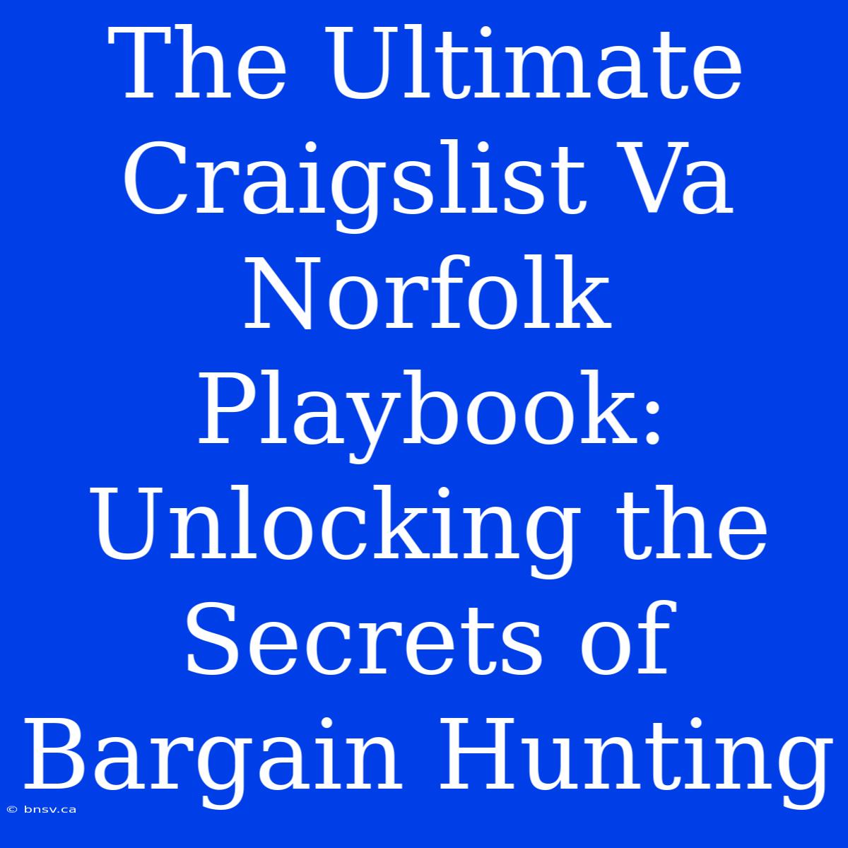 The Ultimate Craigslist Va Norfolk Playbook: Unlocking The Secrets Of Bargain Hunting