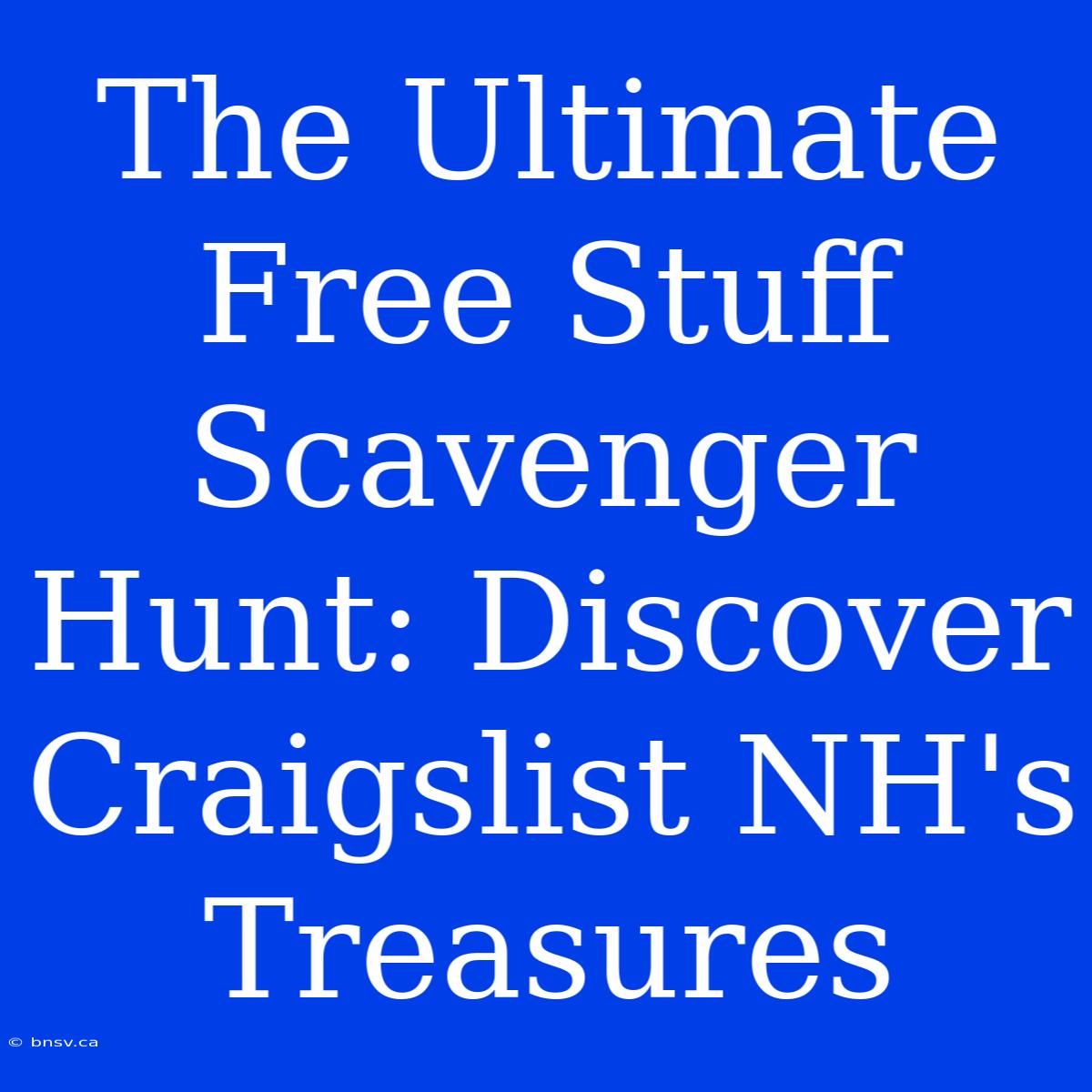 The Ultimate Free Stuff Scavenger Hunt: Discover Craigslist NH's Treasures