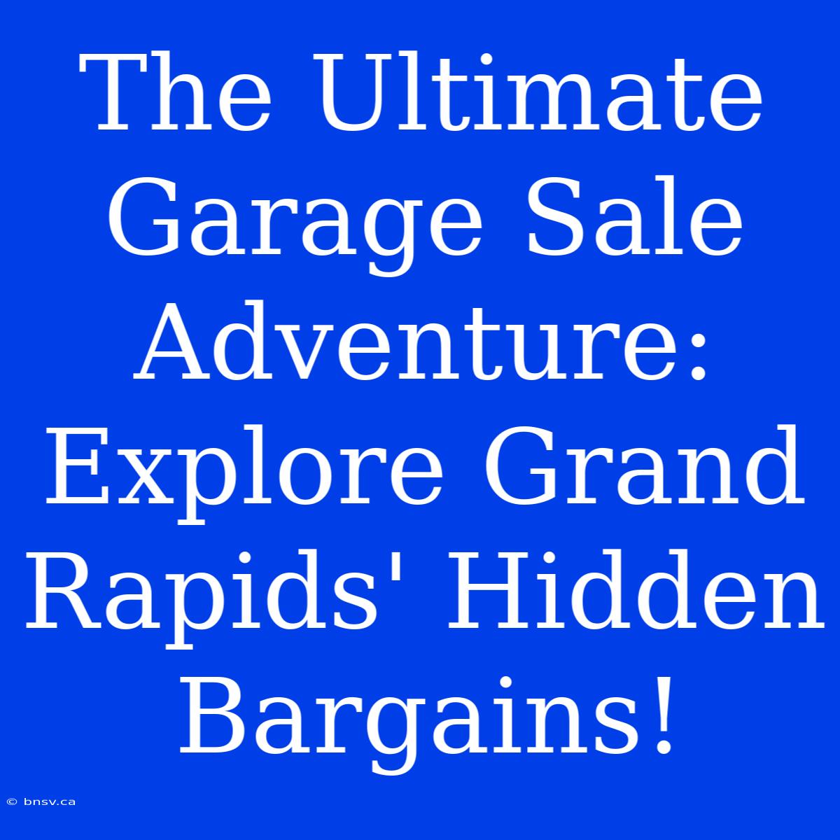 The Ultimate Garage Sale Adventure: Explore Grand Rapids' Hidden Bargains!