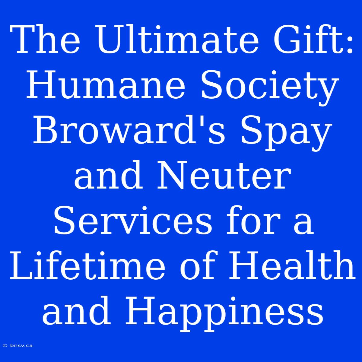 The Ultimate Gift: Humane Society Broward's Spay And Neuter Services For A Lifetime Of Health And Happiness