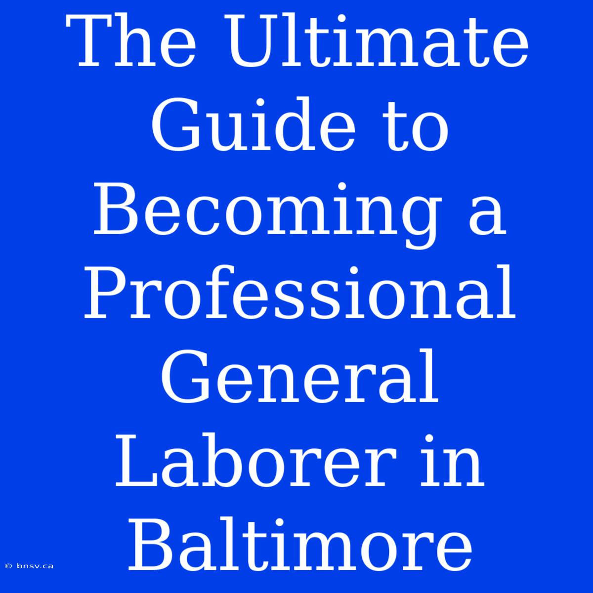 The Ultimate Guide To Becoming A Professional General Laborer In Baltimore