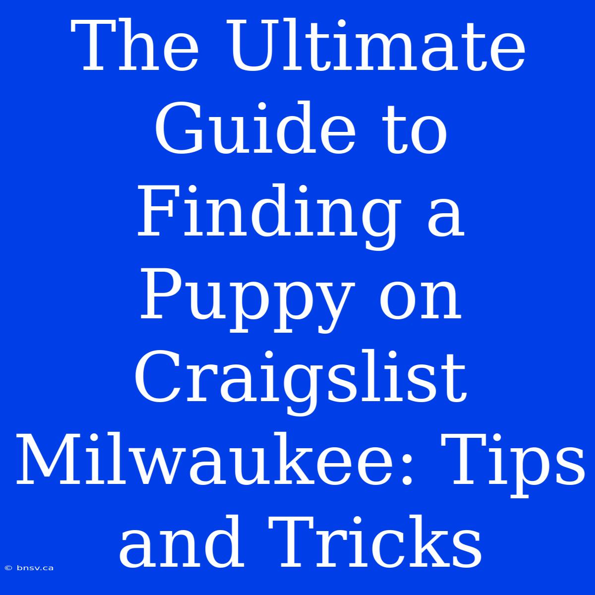 The Ultimate Guide To Finding A Puppy On Craigslist Milwaukee: Tips And Tricks