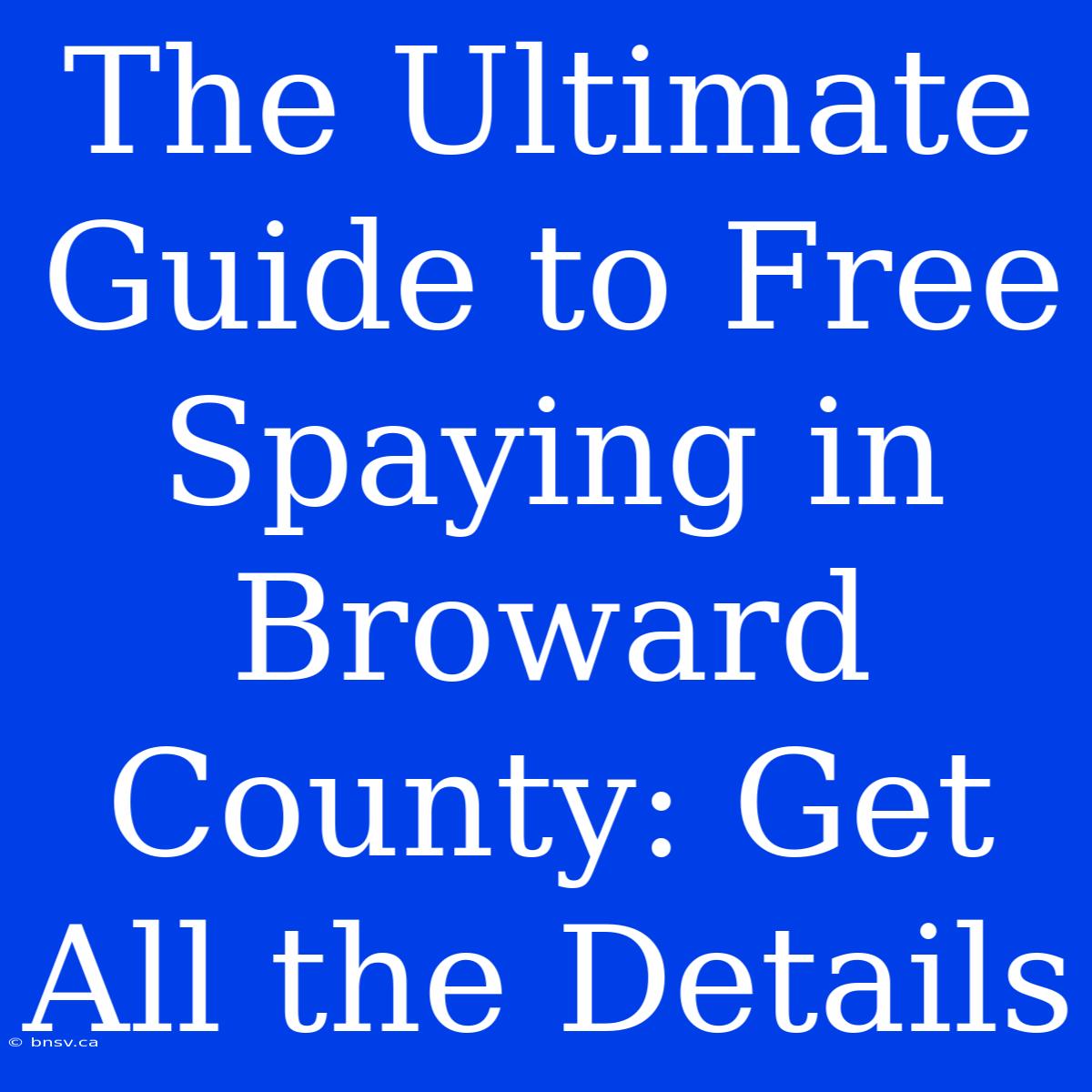 The Ultimate Guide To Free Spaying In Broward County: Get All The Details