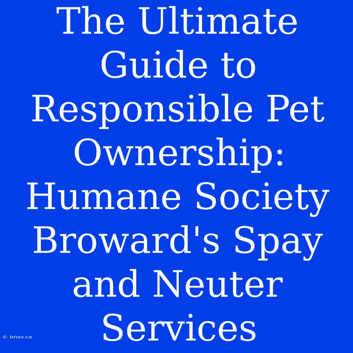 The Ultimate Guide To Responsible Pet Ownership: Humane Society Broward's Spay And Neuter Services