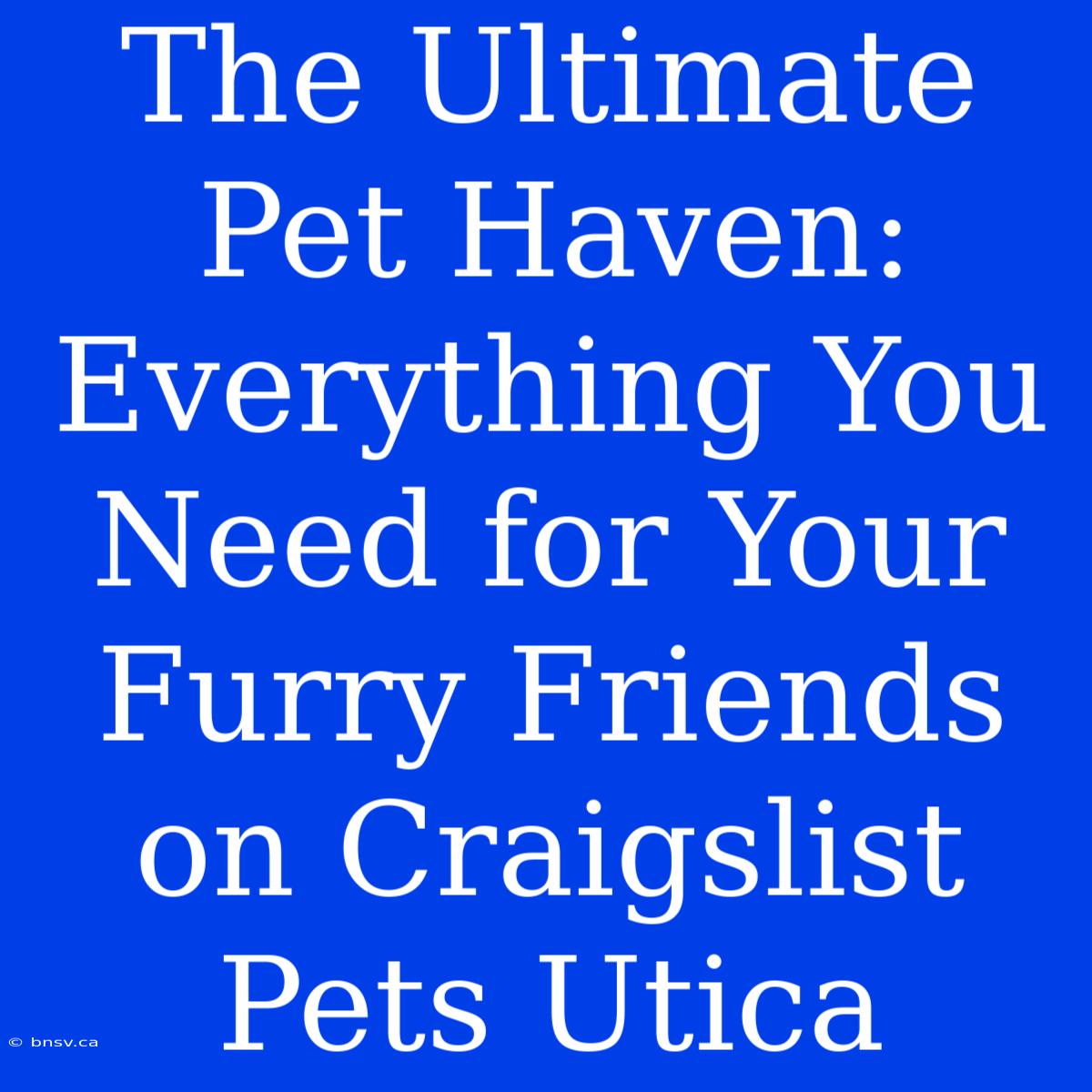 The Ultimate Pet Haven: Everything You Need For Your Furry Friends On Craigslist Pets Utica