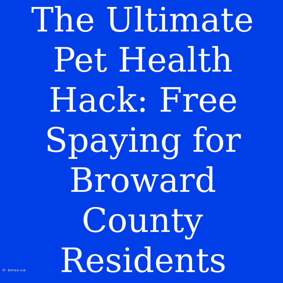 The Ultimate Pet Health Hack: Free Spaying For Broward County Residents