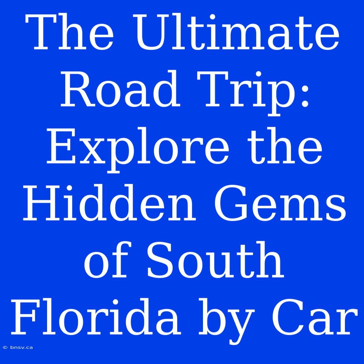 The Ultimate Road Trip: Explore The Hidden Gems Of South Florida By Car