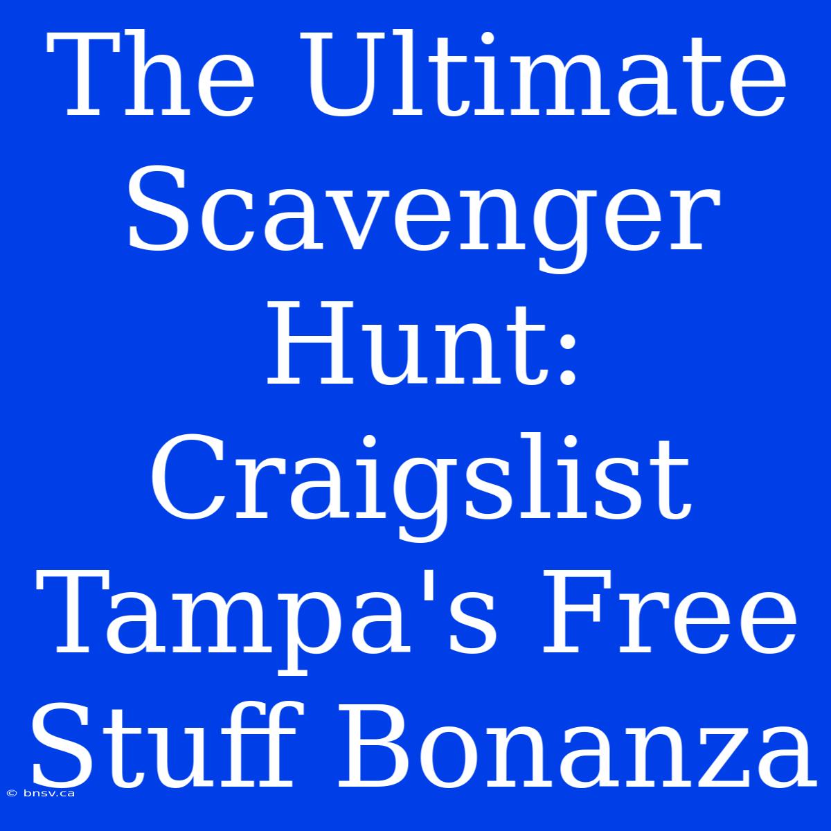 The Ultimate Scavenger Hunt: Craigslist Tampa's Free Stuff Bonanza