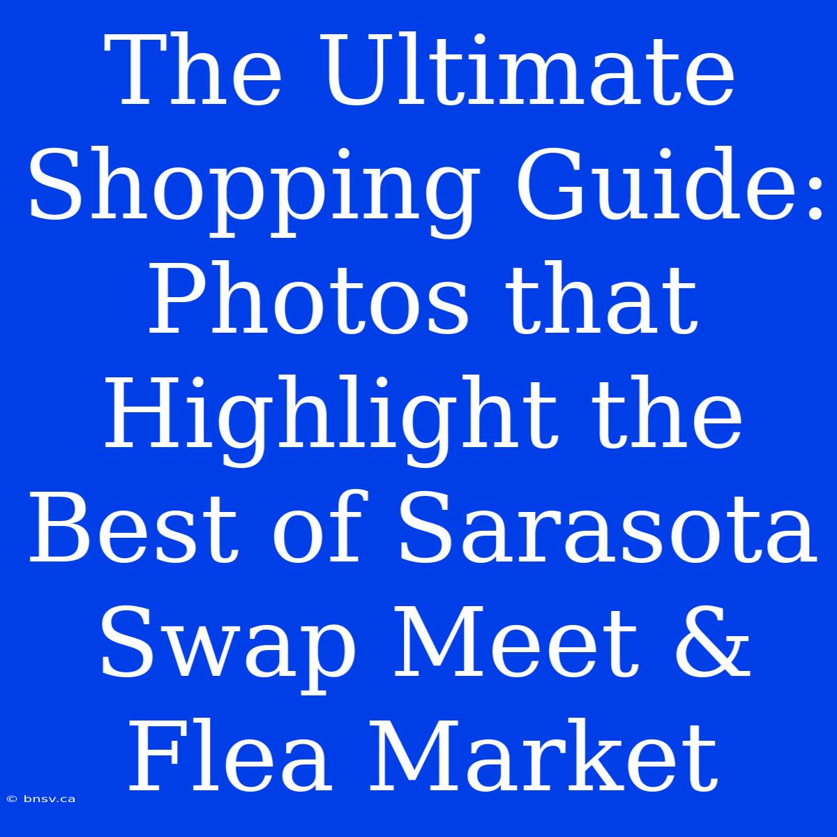 The Ultimate Shopping Guide: Photos That Highlight The Best Of Sarasota Swap Meet & Flea Market